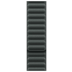 Apple Watch Magnetic Link