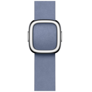 Apple Watch Modern Buckle